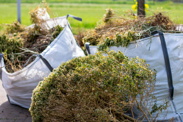 Trusted Plano, IL Junk Removal Services Experts