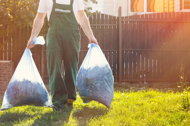 Best Dumpster Rental Services  in Plano, IL